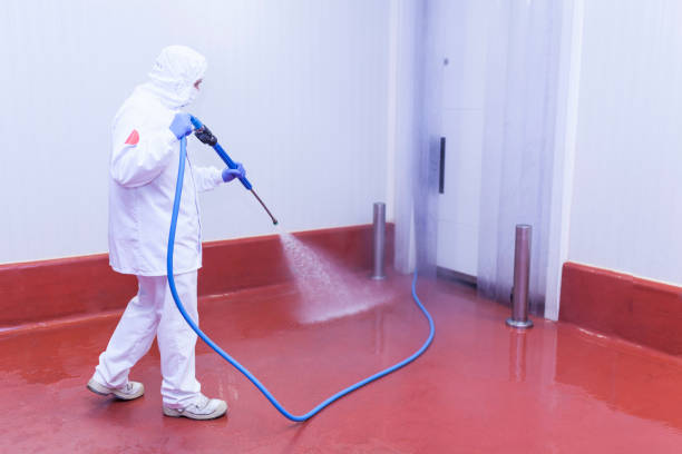 Best Oil Spill Cleanup  in Cedaredge, CO
