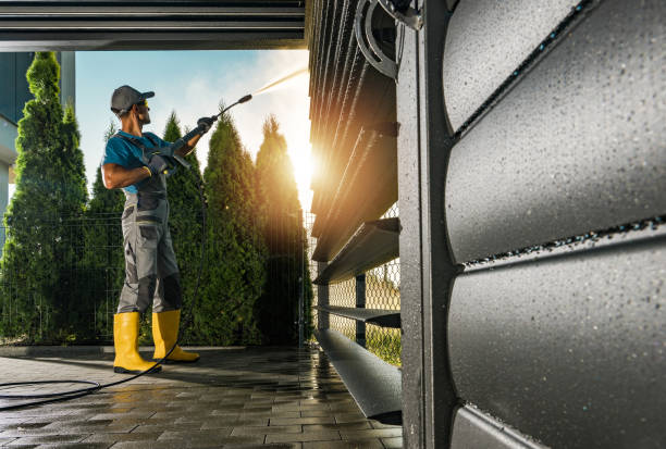 Best Dumpster Area Cleaning  in Cedaredge, CO
